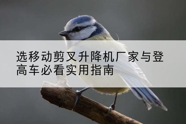 深州电动升降机厂家-选移动剪叉升降机厂家与登高车必看实用指南
