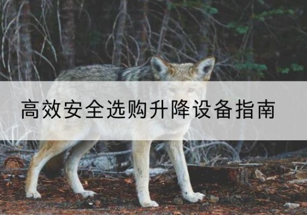 深州升降货梯厂家推荐-*安全选购升降设备指南