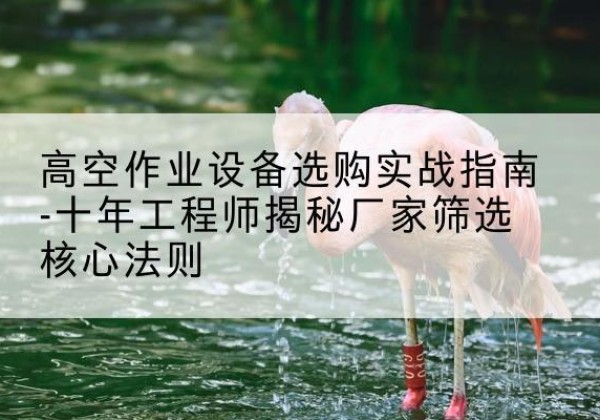 深州剪叉式升降机厂家-高空作业设备选购实战指南-十年工程师揭秘厂家筛选核心法则